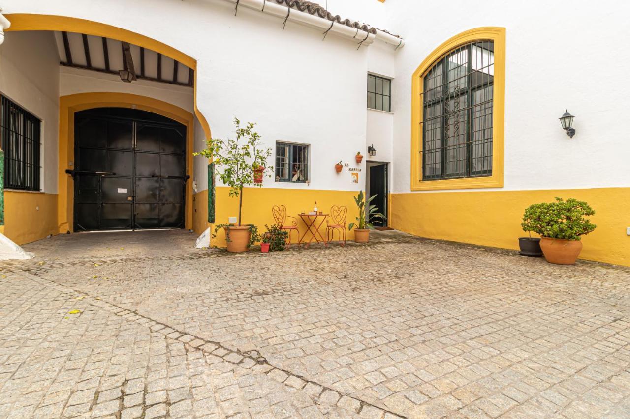 Apartmán Entre Bodegas Jerez Jerez de la Frontera Exteriér fotografie